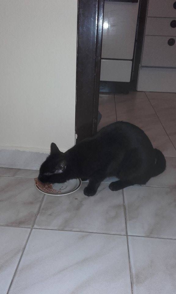 14542613_967391970039514_1375526767_n