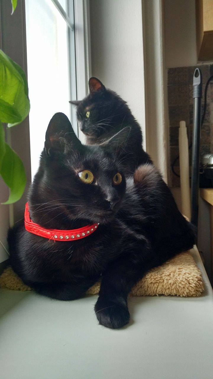 14566371_688084461356160_2815346723405358211_o