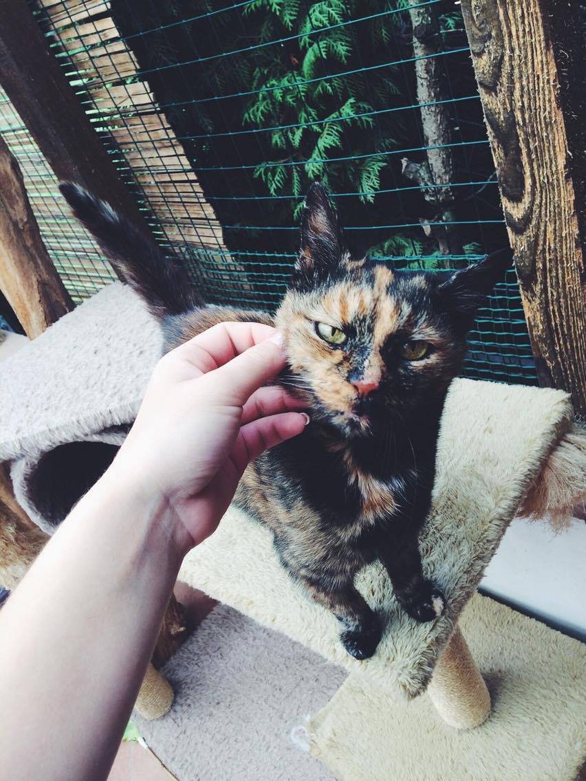 14566437_688092318022041_5857204180019024098_o