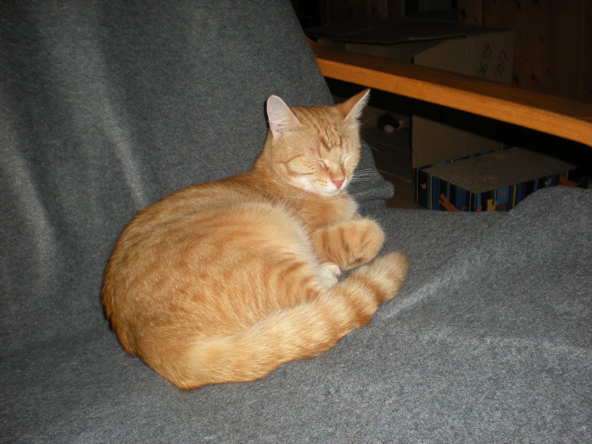 14566459_685440711620535_698401100666396185_o