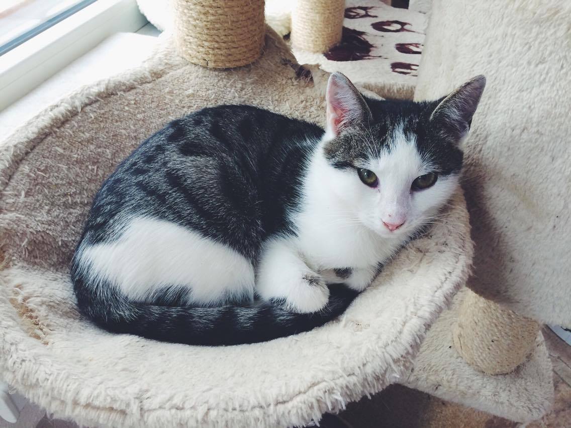 14567509_688092371355369_4929849545411520099_o