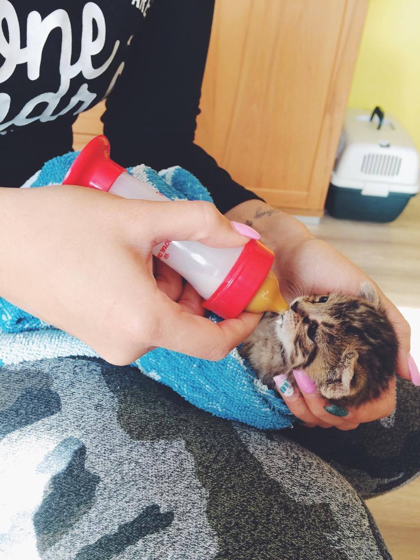 14572719_10202217340311023_660284259_o