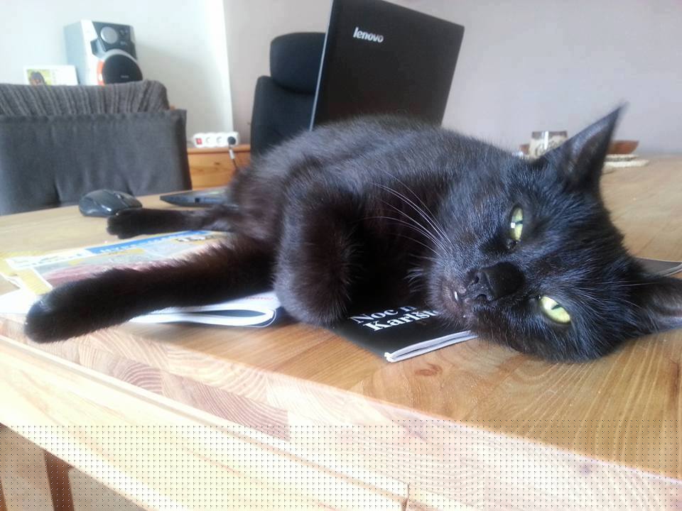 14573052_688084498022823_2721765612313026388_n