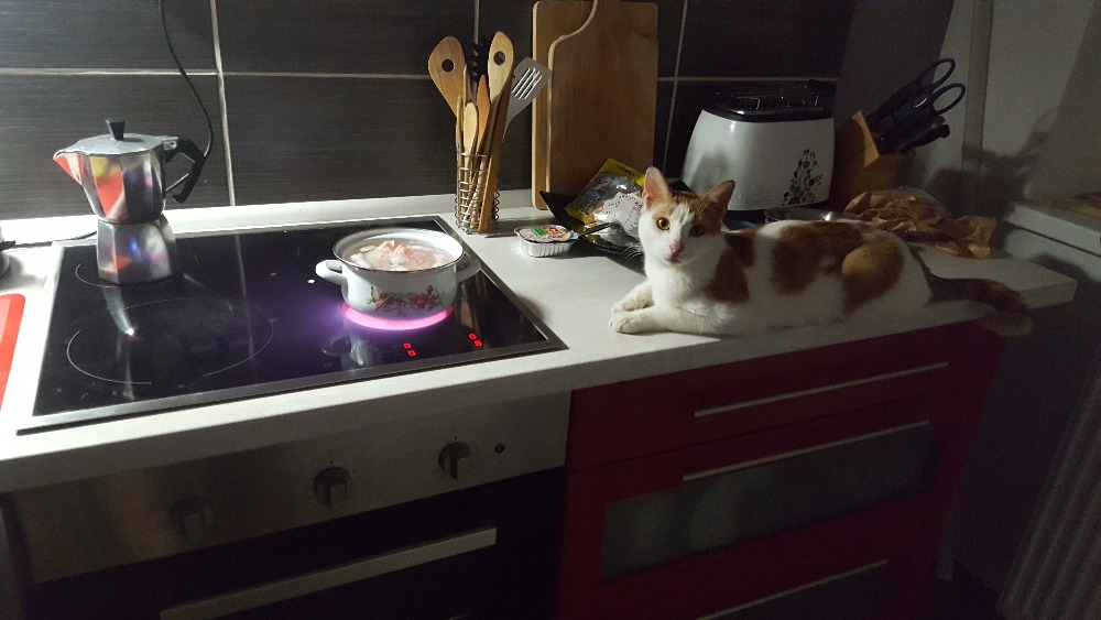 14589837_686688261495780_458882293752555481_o