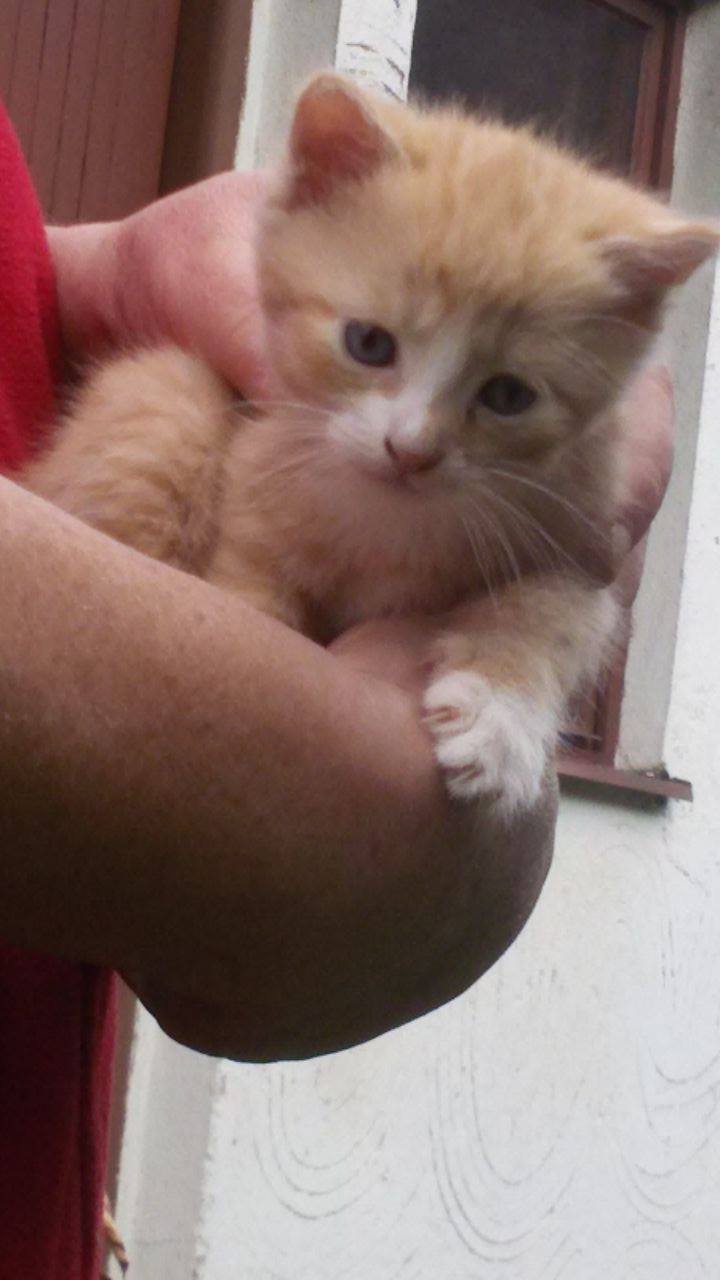 14600667_1437498149598614_1451233302_o