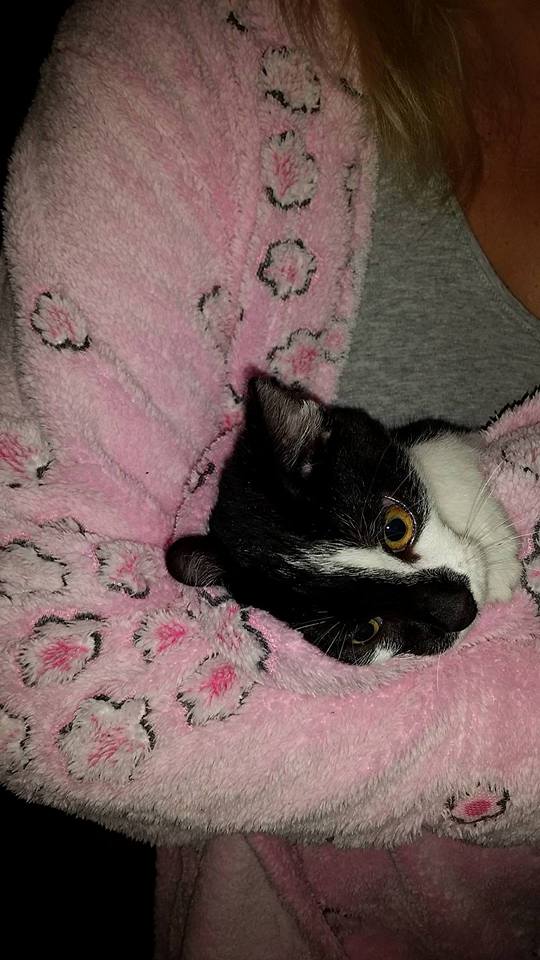 14601018_688301921334414_2166730917296580298_n