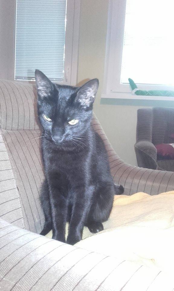 14610733_979168985528479_1846241103_n