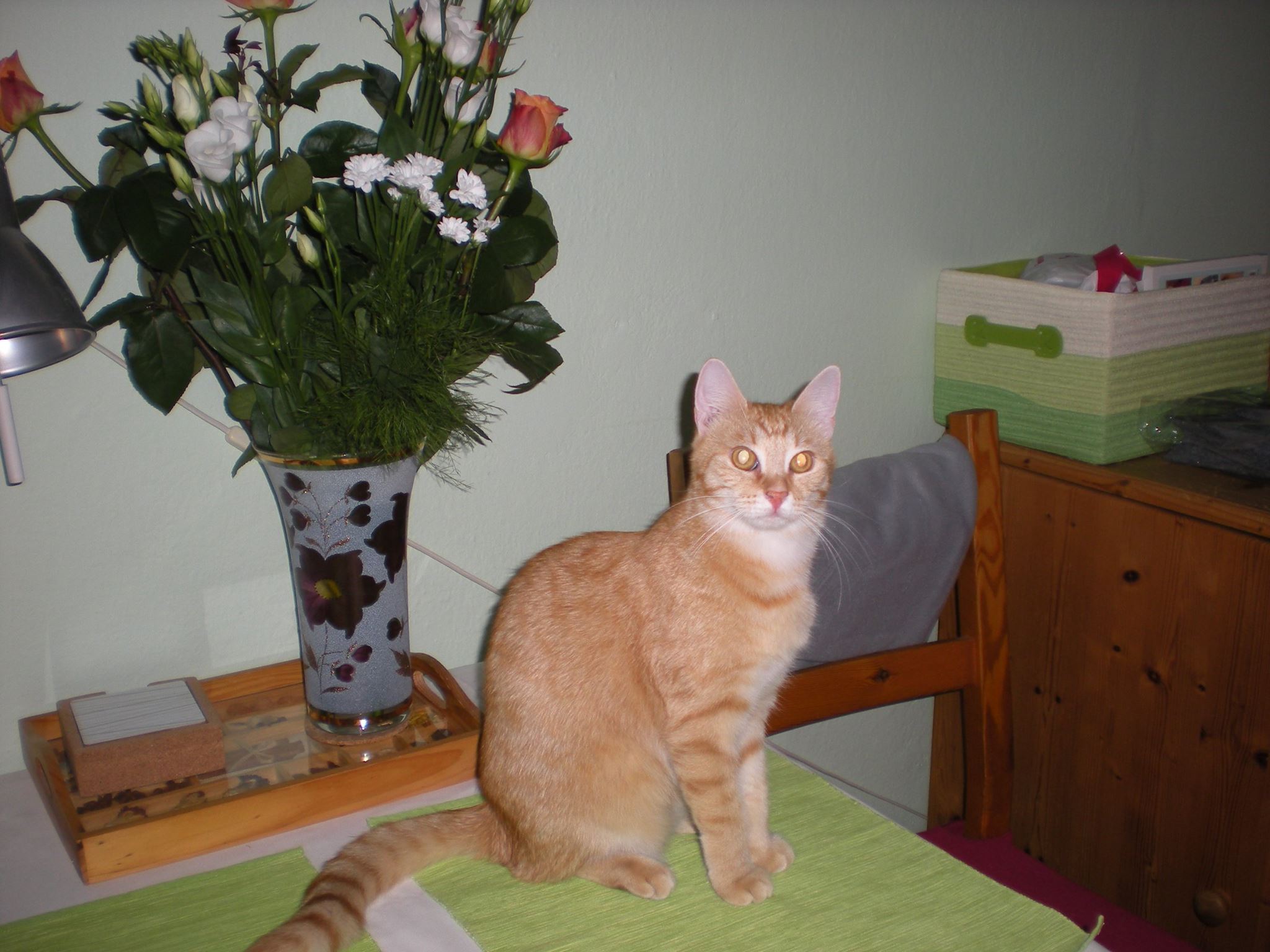 14612564_685440654953874_101656910454888125_o