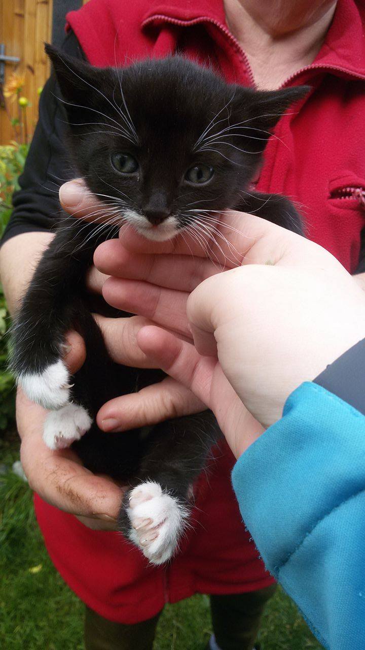 14618781_1437497649598664_1046241960_o