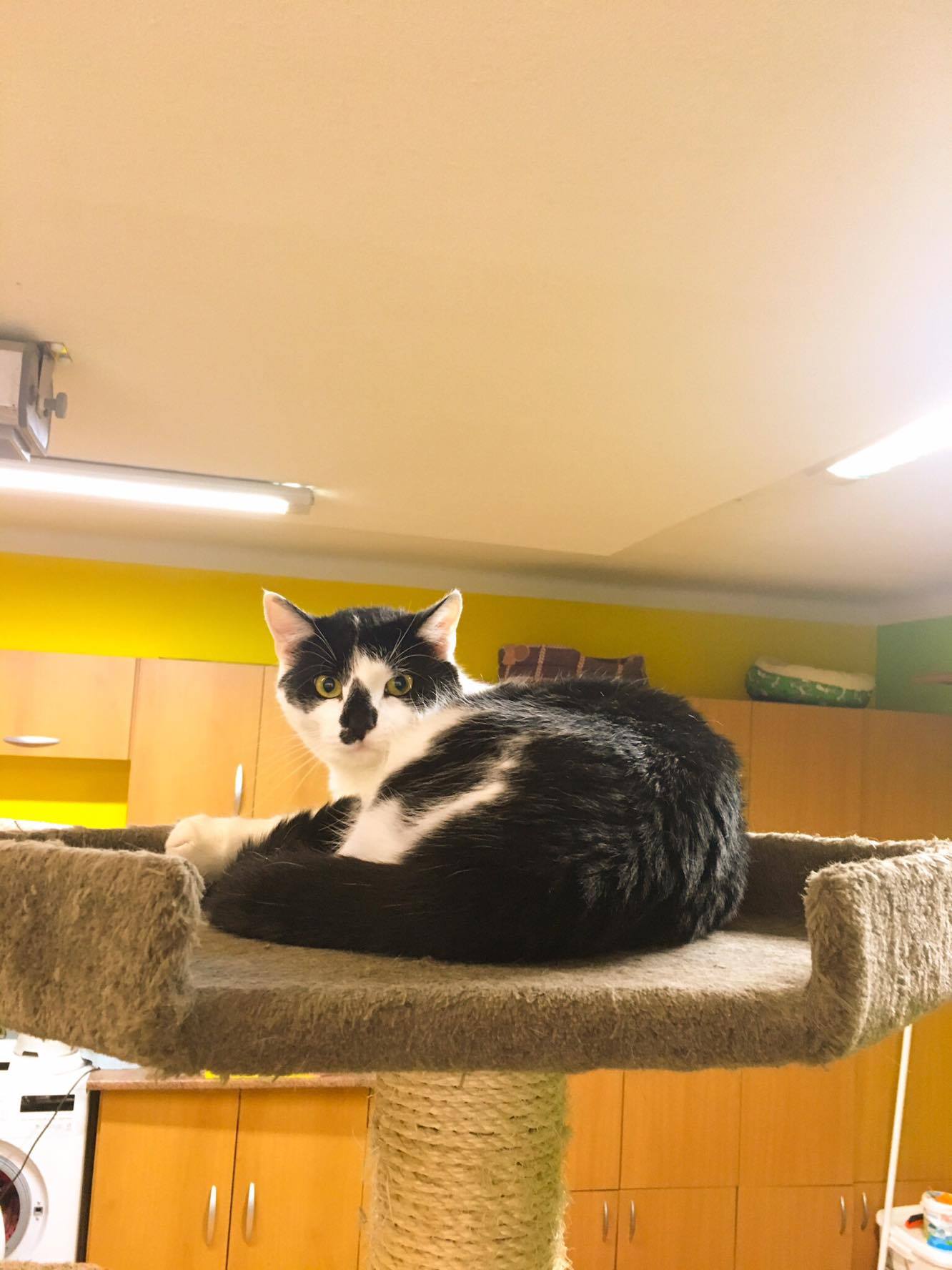 14618849_10205921804324590_1627032555_o