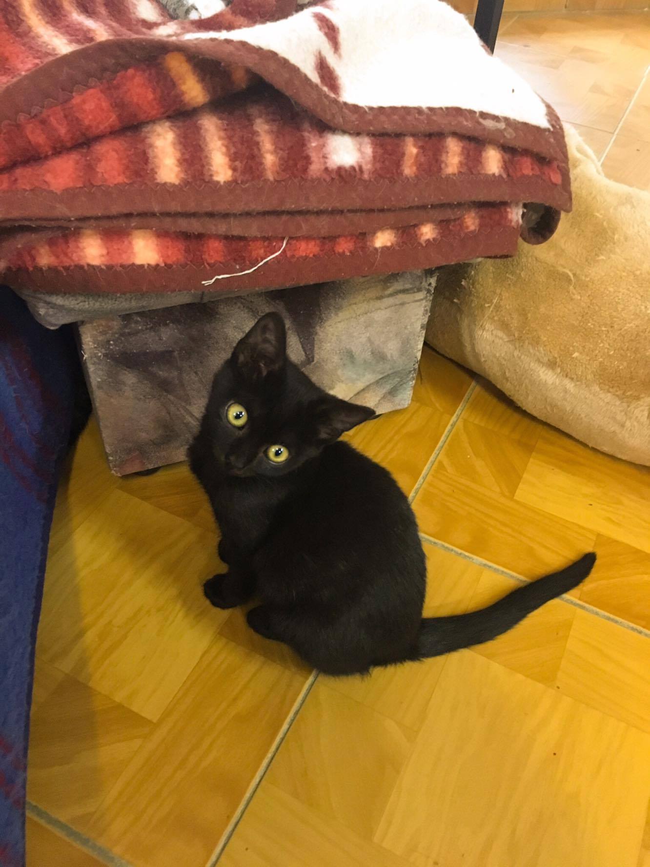 14625616_10205921804484594_1720510399_o