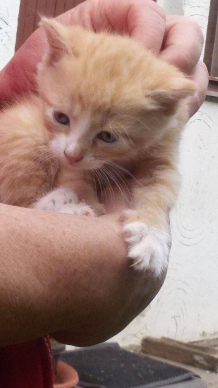 14632757_1437498272931935_1889371050_o