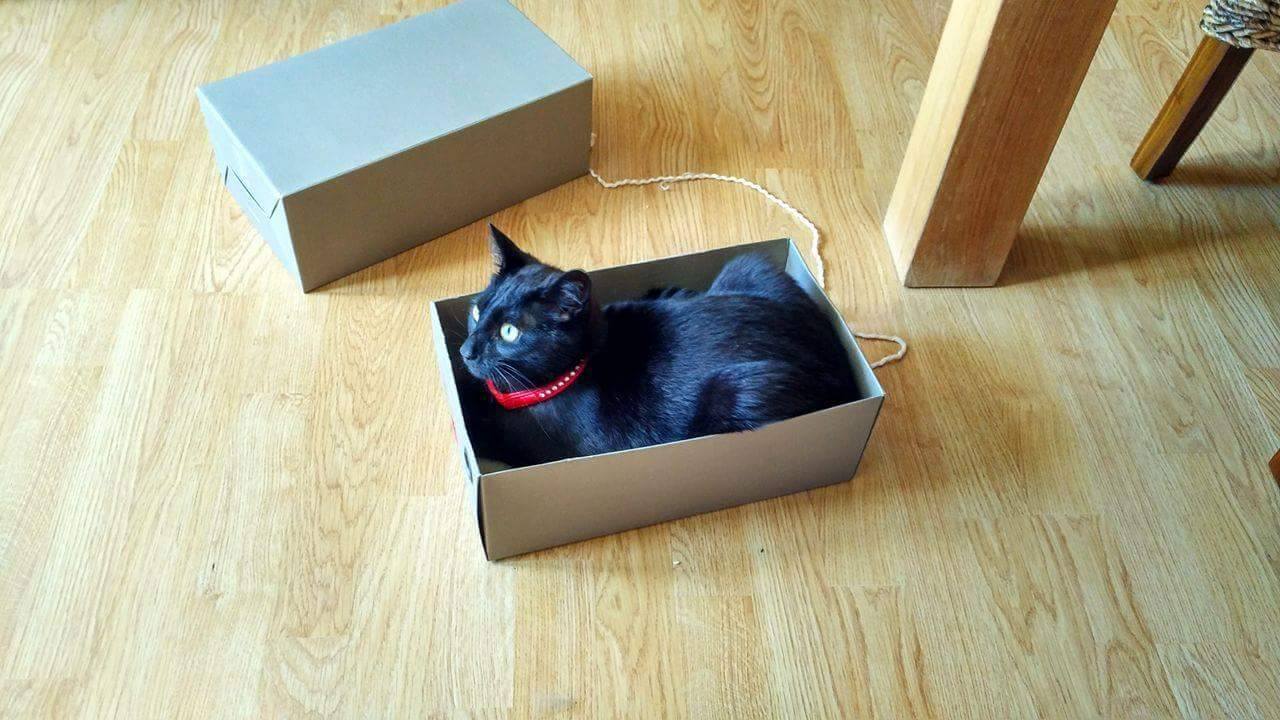 14633394_688084344689505_1868270729205473474_o