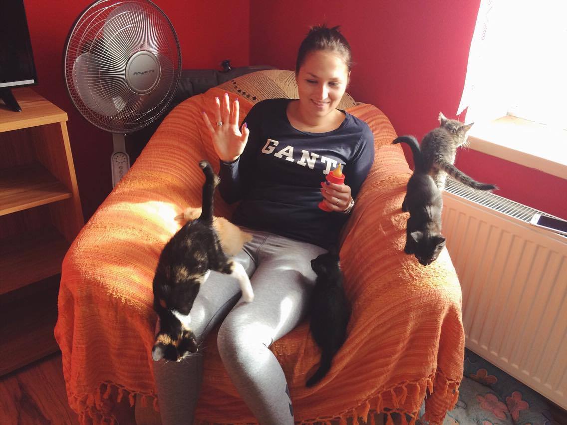 14633461_688092228022050_4719566776132114143_o