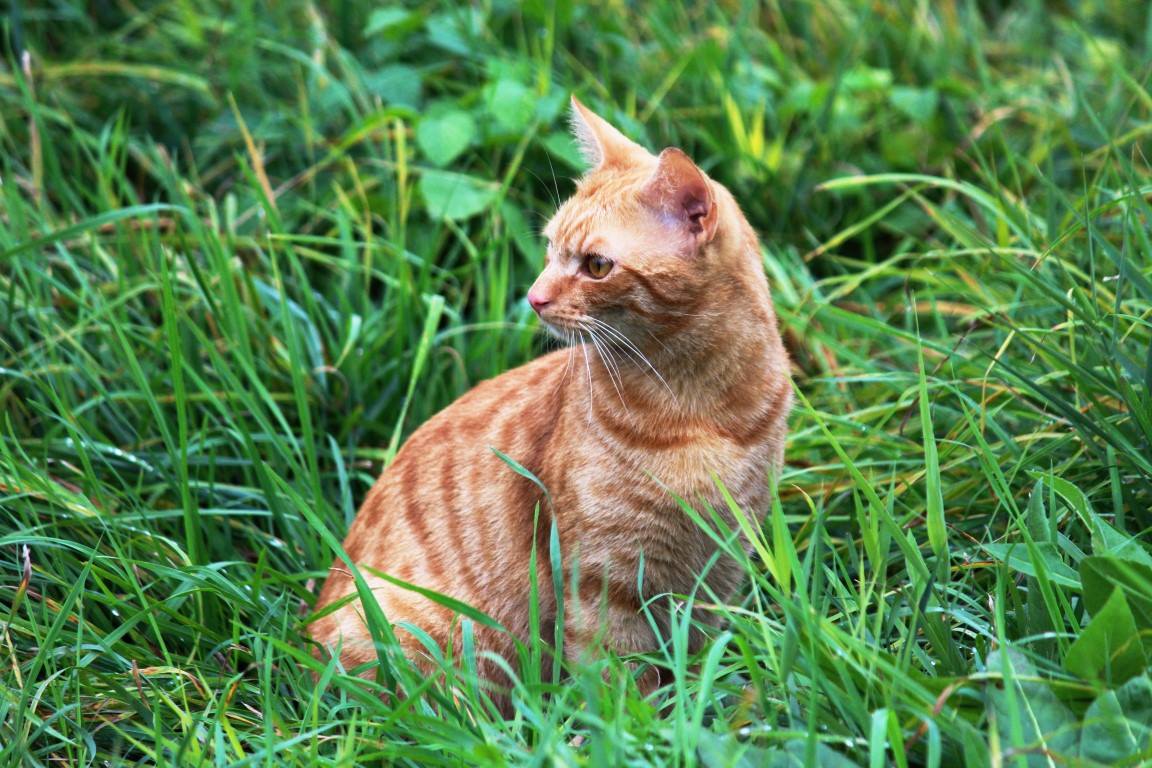 14633497_693243194173620_1927911666697860752_o