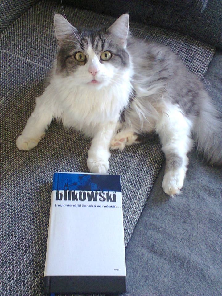 14639583_699329860231620_7032744206436680532_n