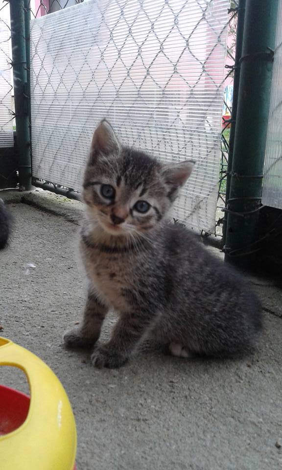 14639666_686748588156414_625413252247304835_n