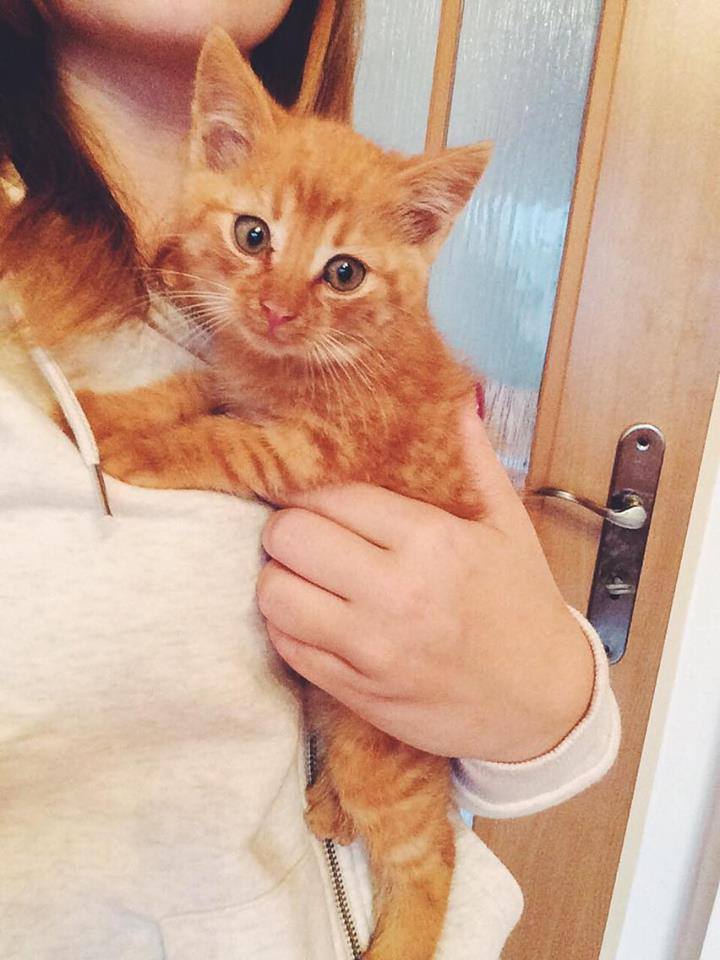 14639849_692584114239528_8240711587101382514_n