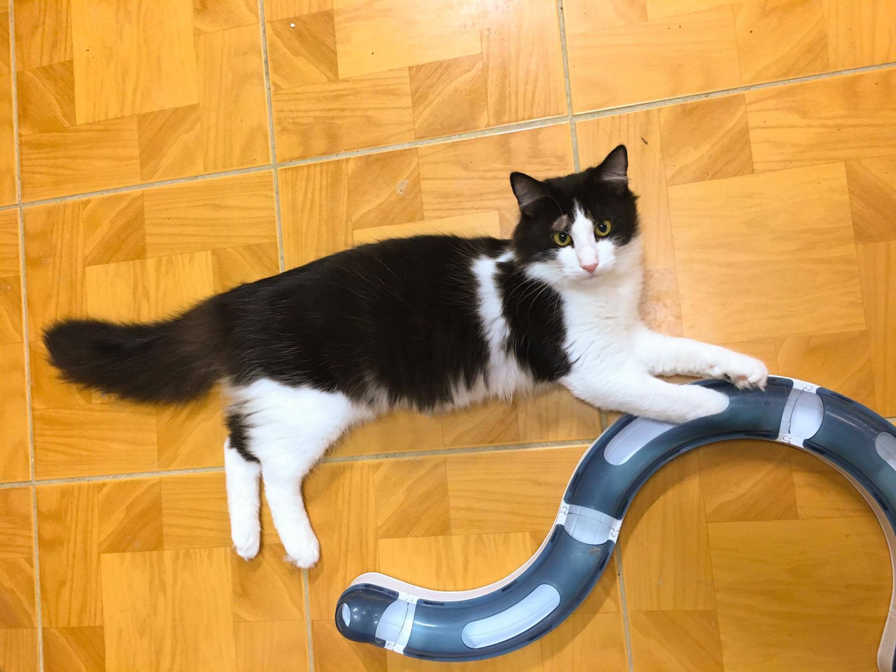 14646743_10205921804684599_1441048143_o