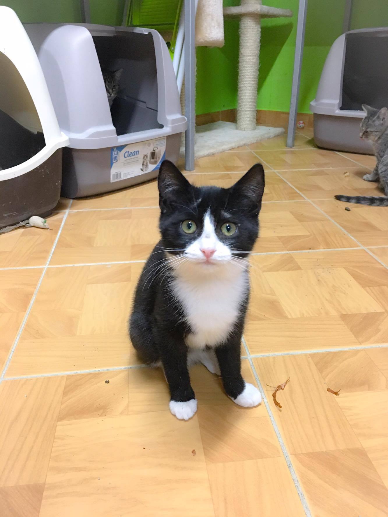 14646850_10205921804404592_1618177109_o