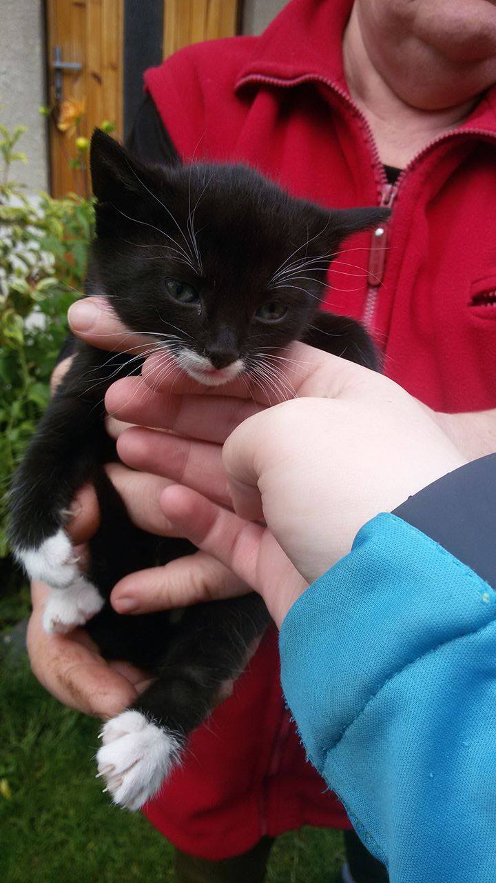 14647281_1437497679598661_42312198_o