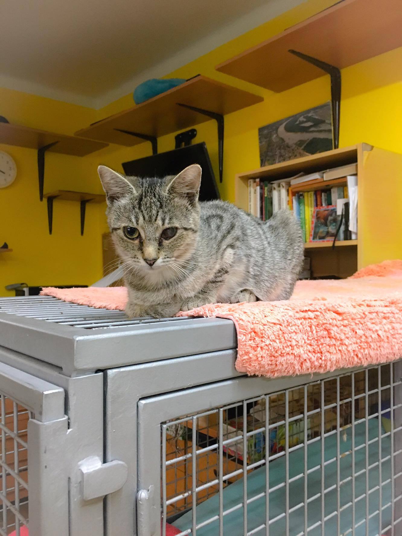 14647429_10205921804764601_1263947385_o