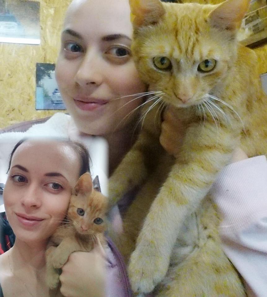 14650092_693243124173627_1443882082183618878_n