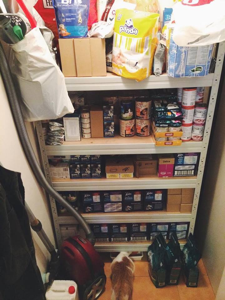 14666085_692583667572906_4533167545243784446_n