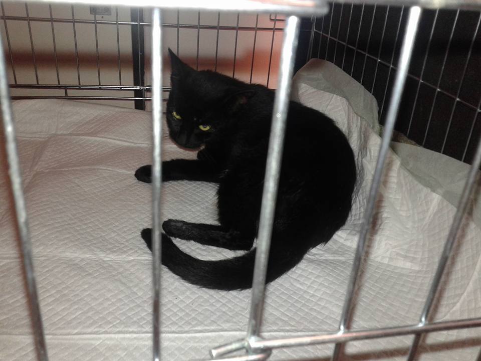 14666096_693600544137885_2621488090996948790_n