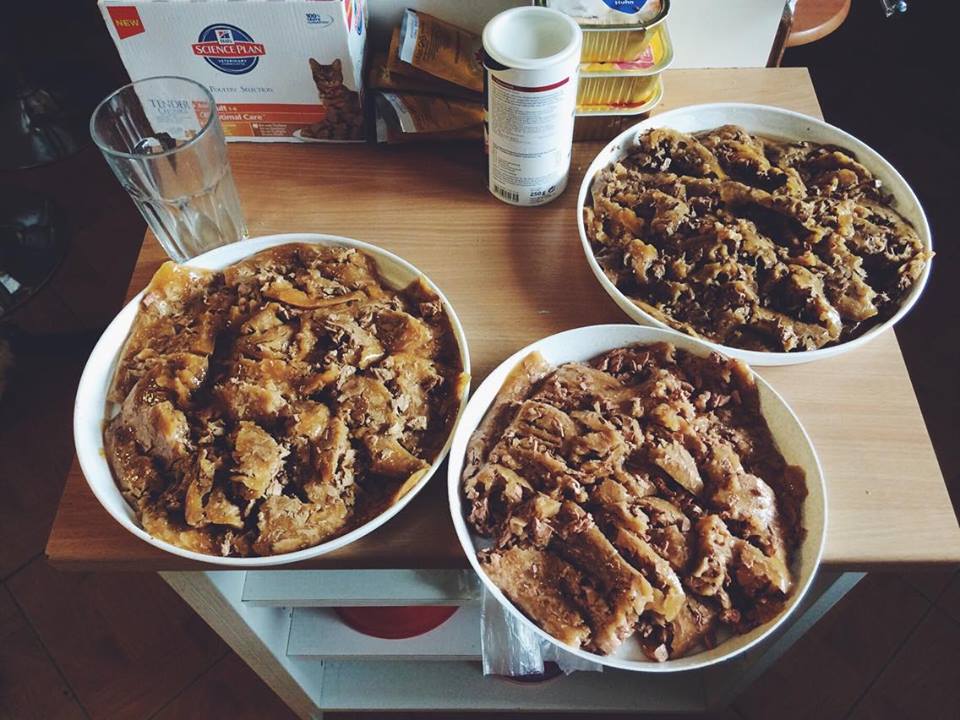 14671092_692583677572905_5328588457407186216_n