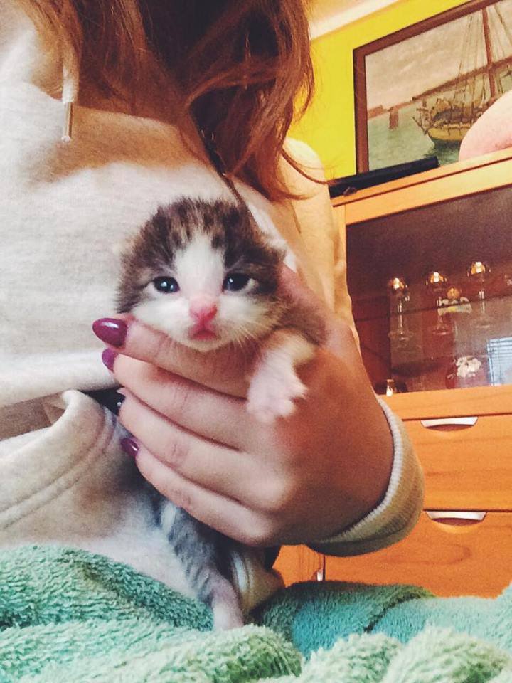 14671147_692593857571887_2508039473590003138_n