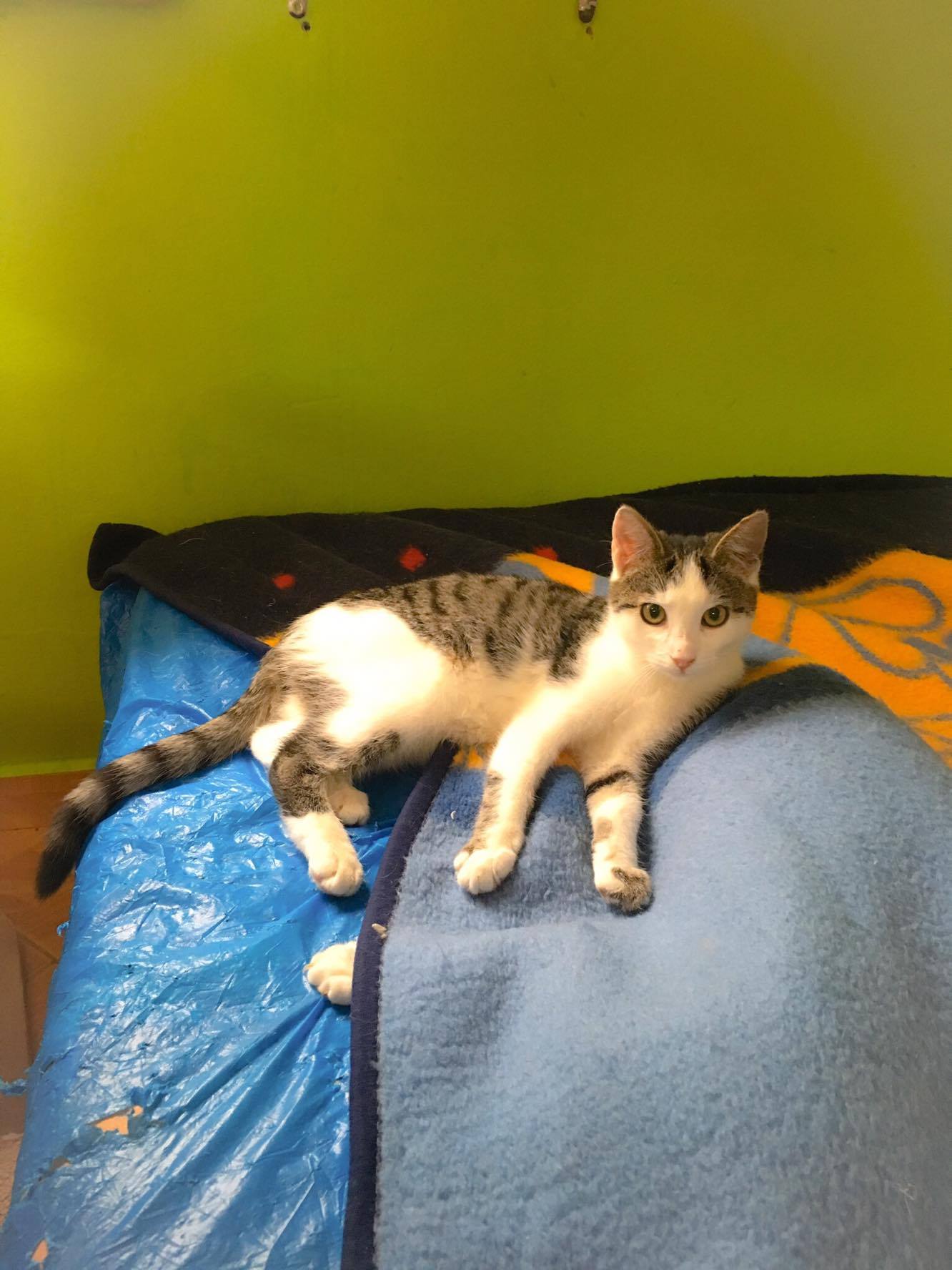 14677990_10205921804284589_694450332_o