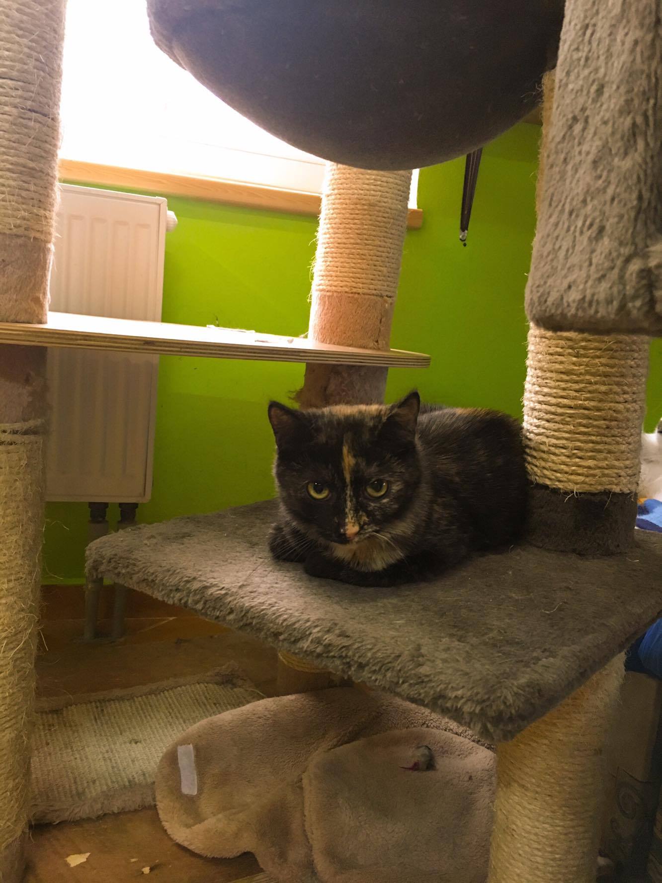 14689178_10205921804244588_494268171_o