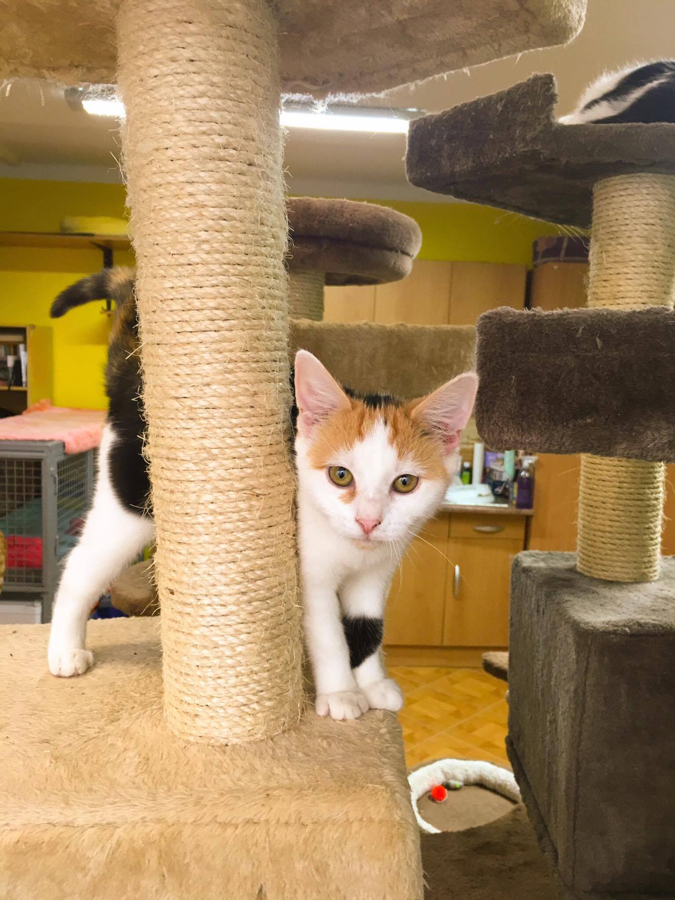 14689941_10205921804644598_657864556_o