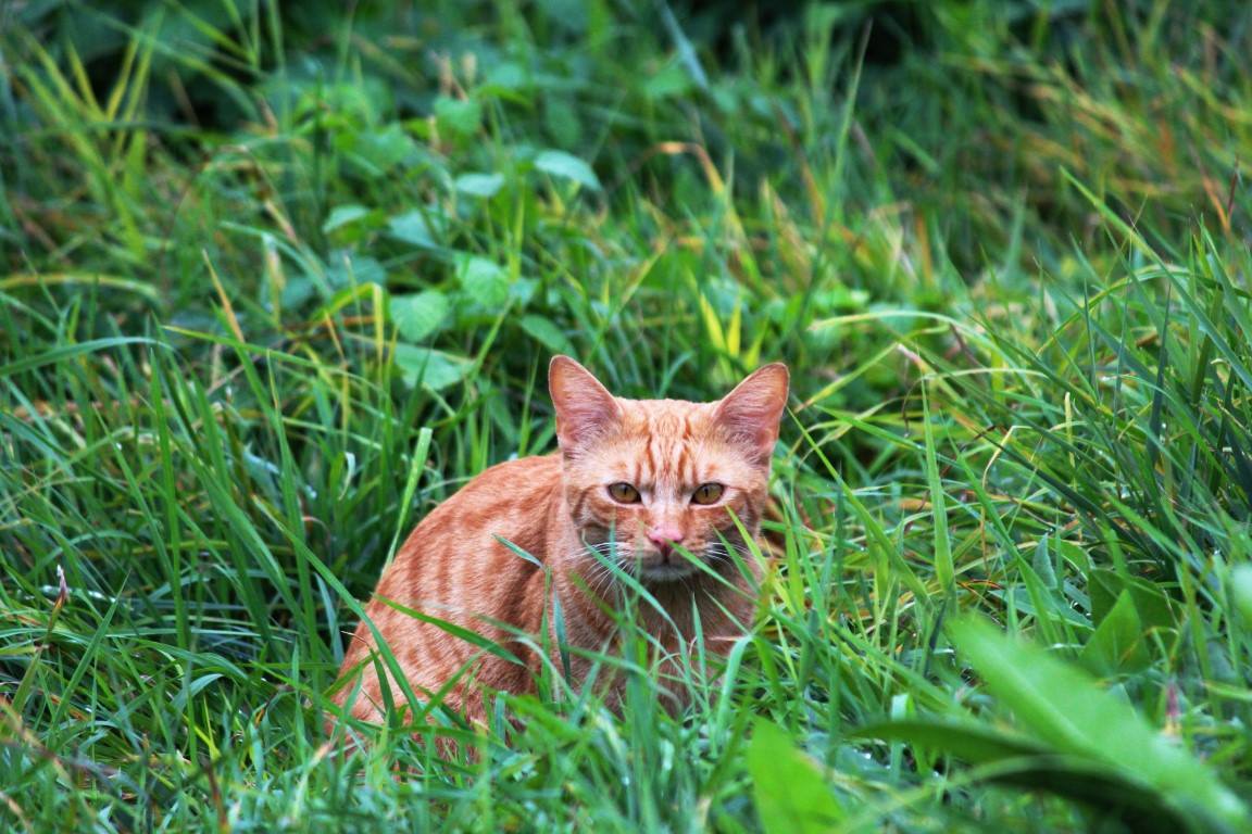 14691220_693243234173616_2862924214712413983_o