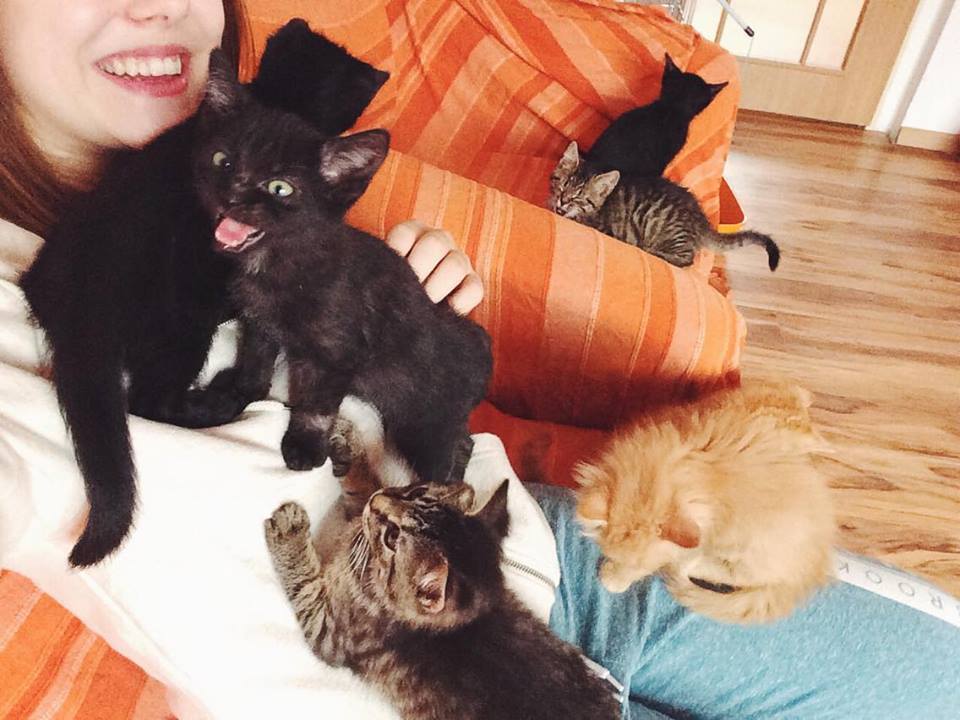 14695341_692583560906250_7908645877976205301_n