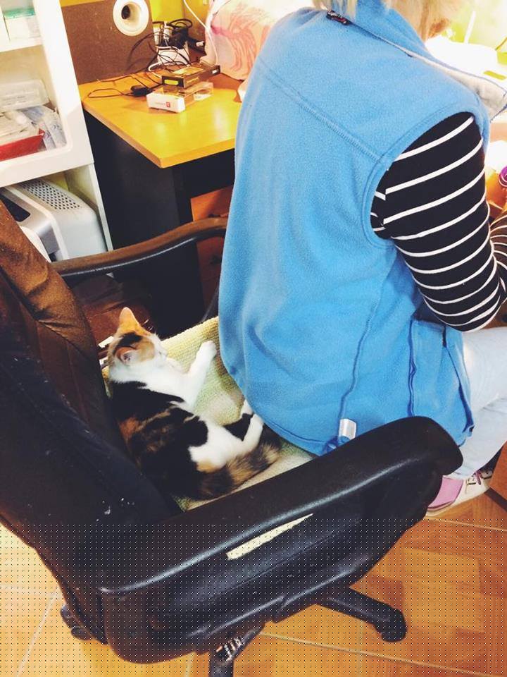 14695601_692584060906200_7172388048078998291_n