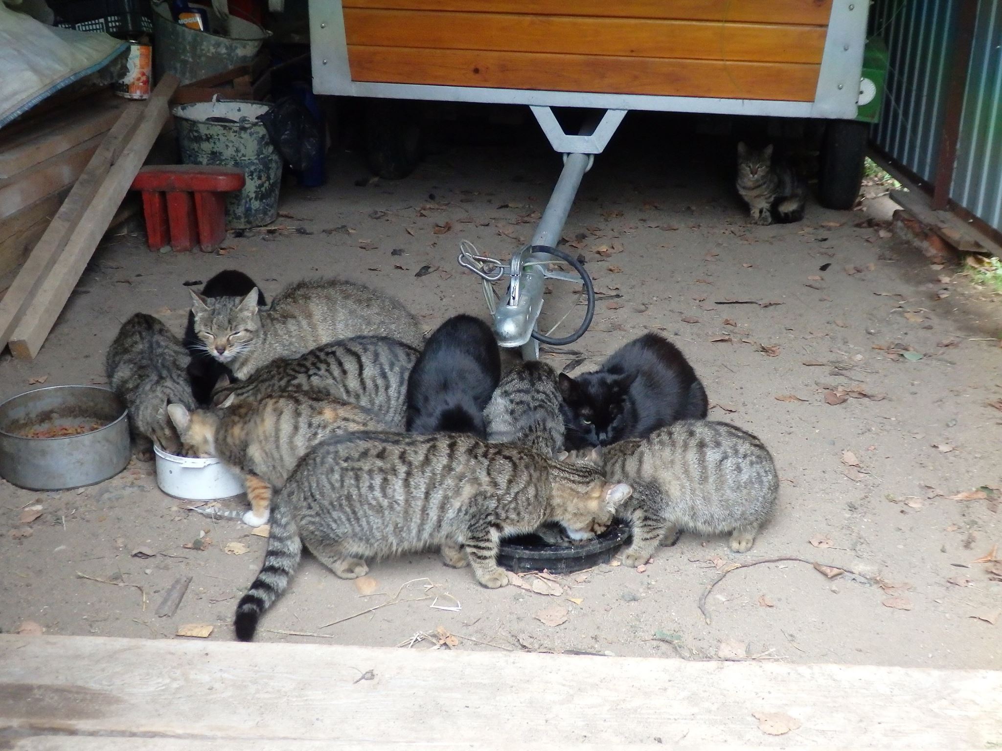 14708027_689568124541127_2194971230557629031_o