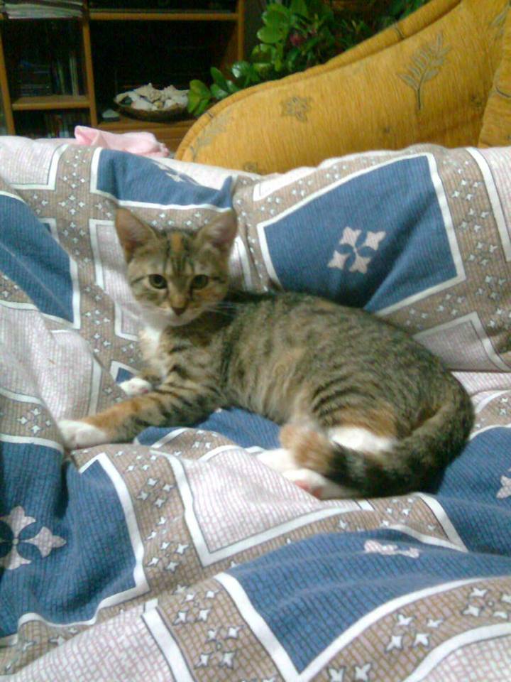 14708257_690709814426958_7450507110081515466_n