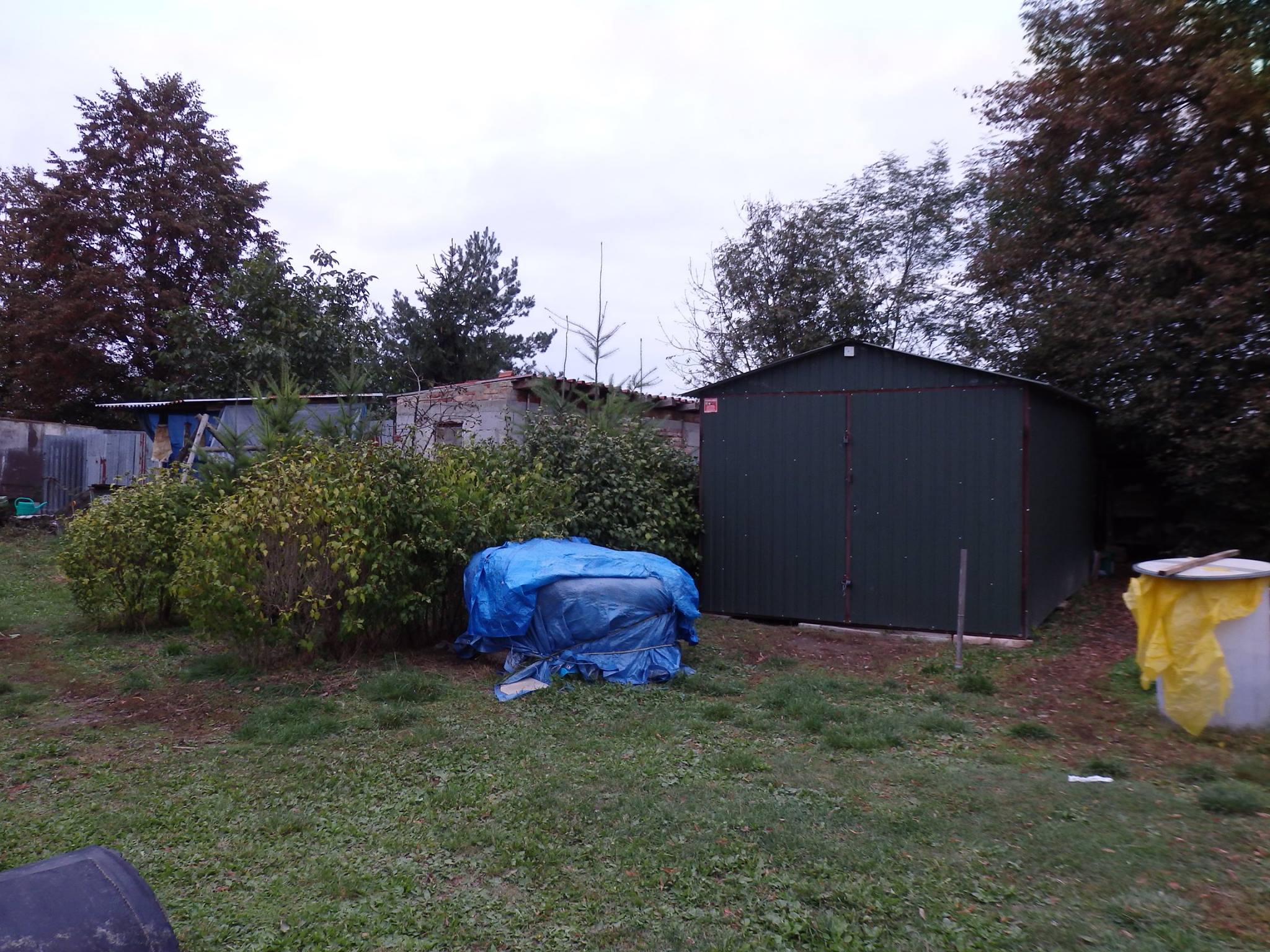 14713088_689568207874452_2293058787274198090_o