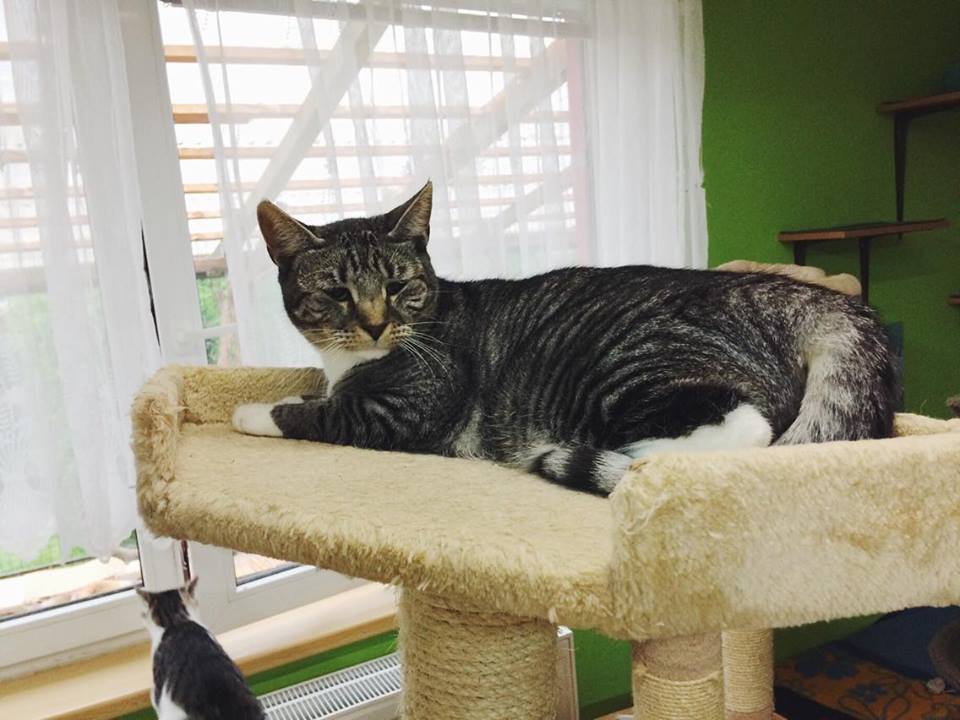 14713583_692583930906213_6460738011159809170_n