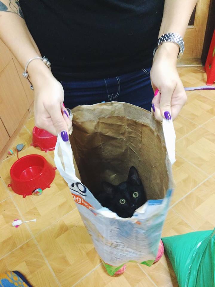 14713758_692583680906238_7616724684741855346_n