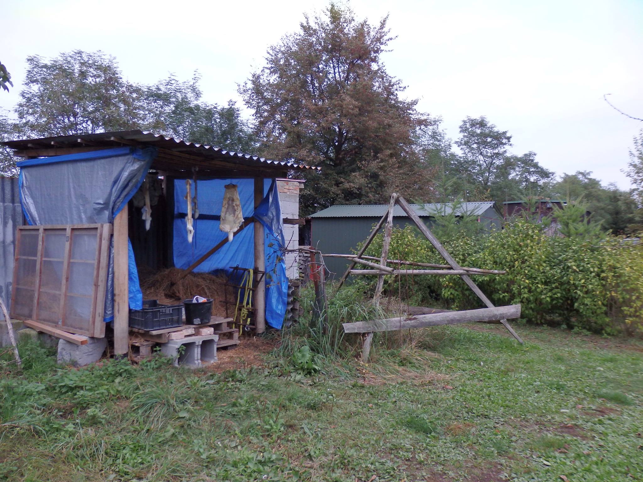 14714805_689568211207785_3473710882253507128_o