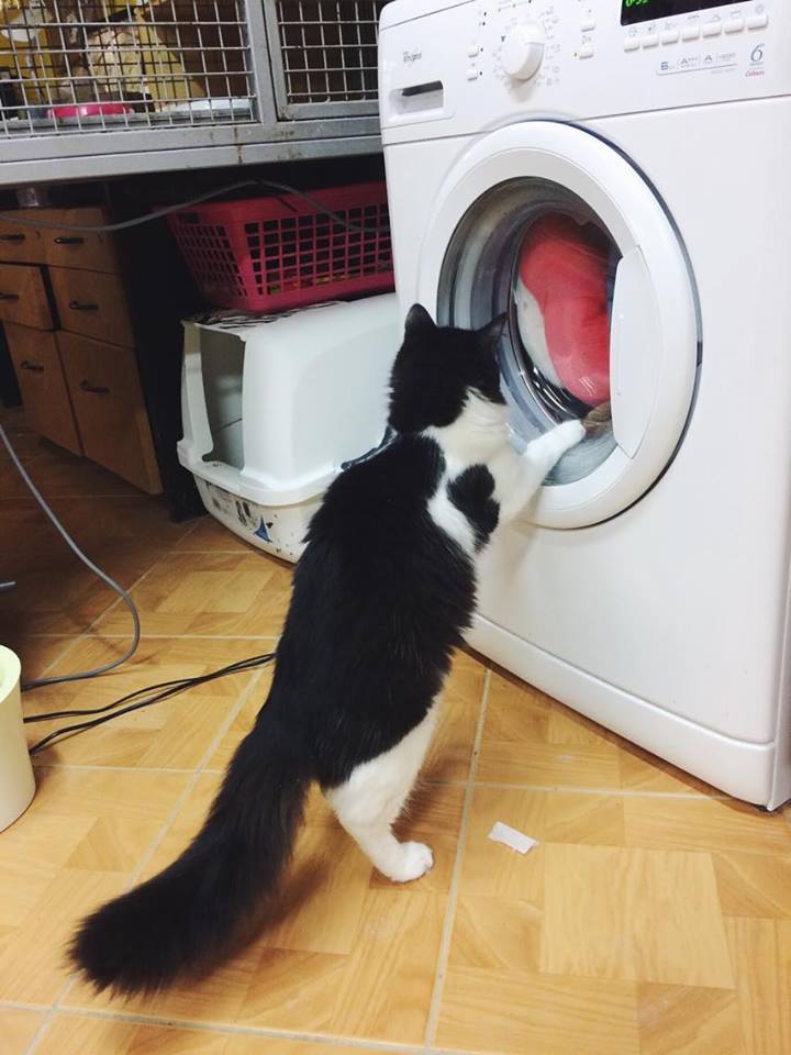 14731096_692583804239559_8780591583845785630_n