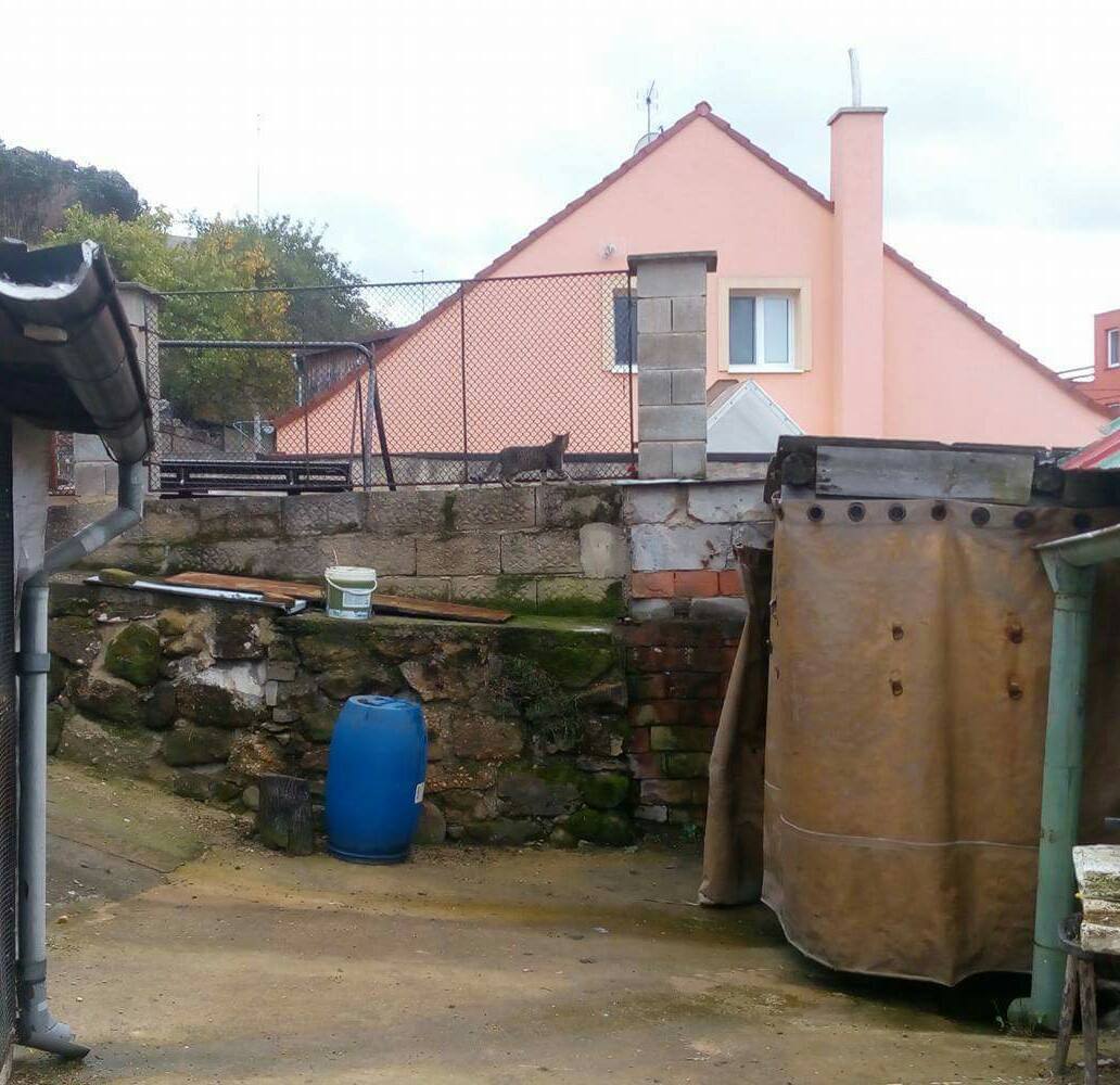 14800154_10209234976305949_407292914_o