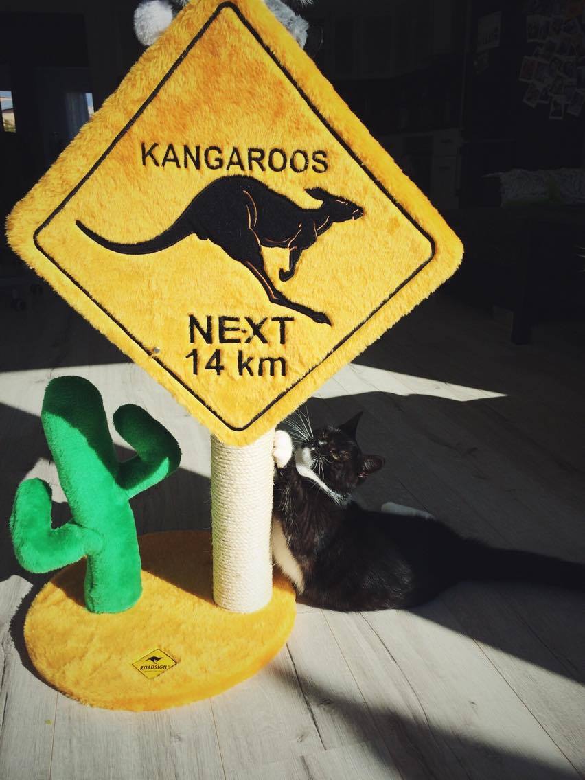 14808008_10202318037428388_1056289116_o