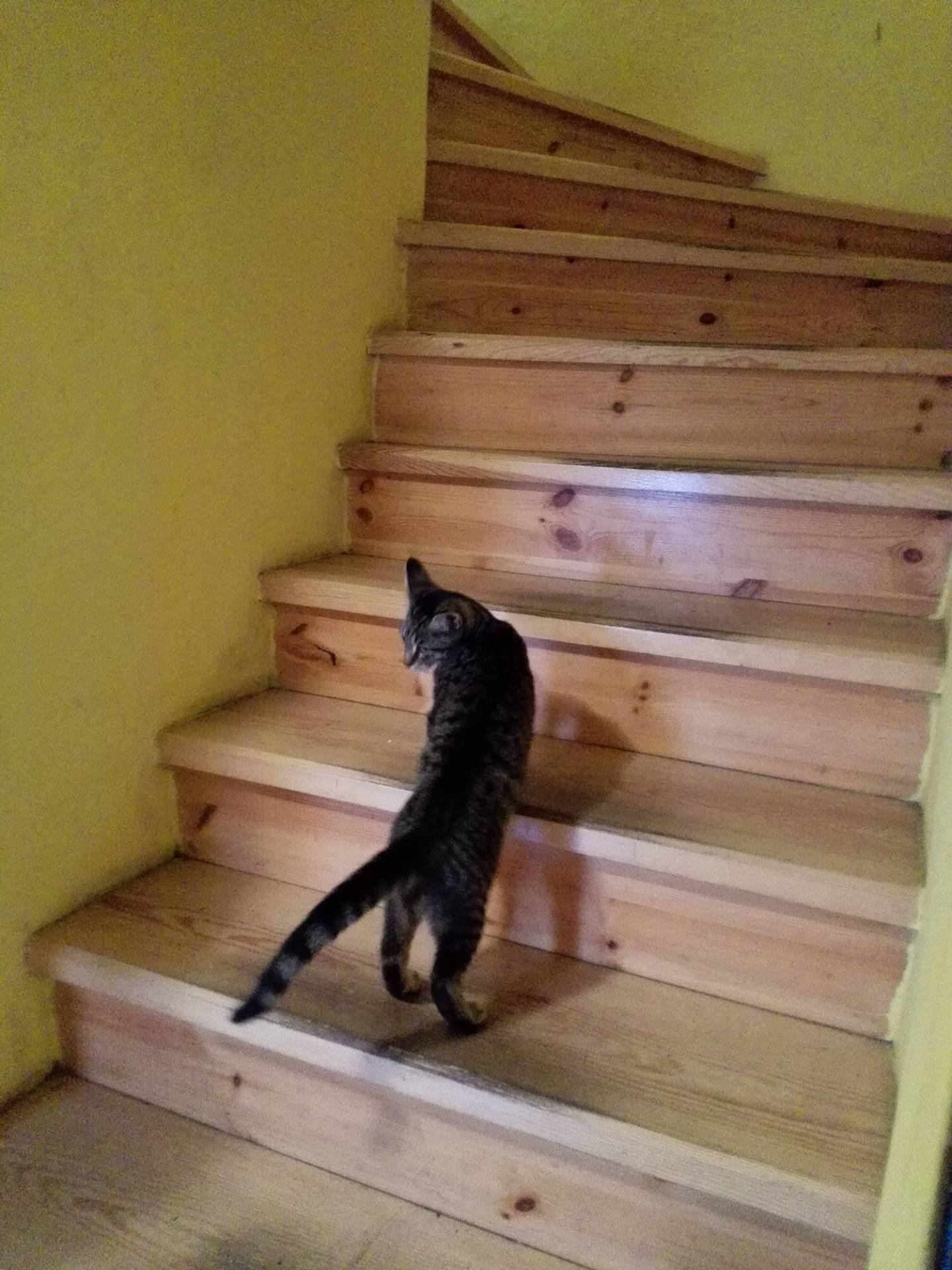 14808101_10209234981426077_771531462_o