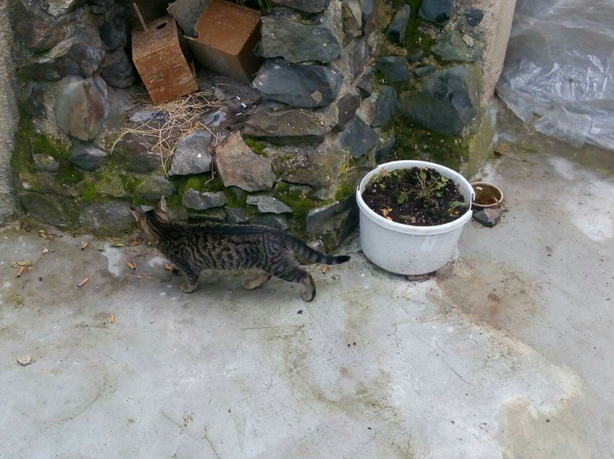 14812875_10209234976385951_166851283_o