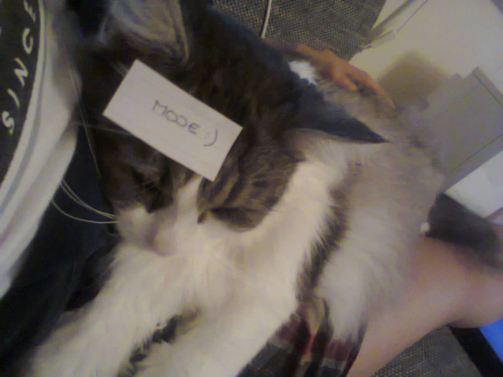 14882112_699329786898294_2671821753686449179_o