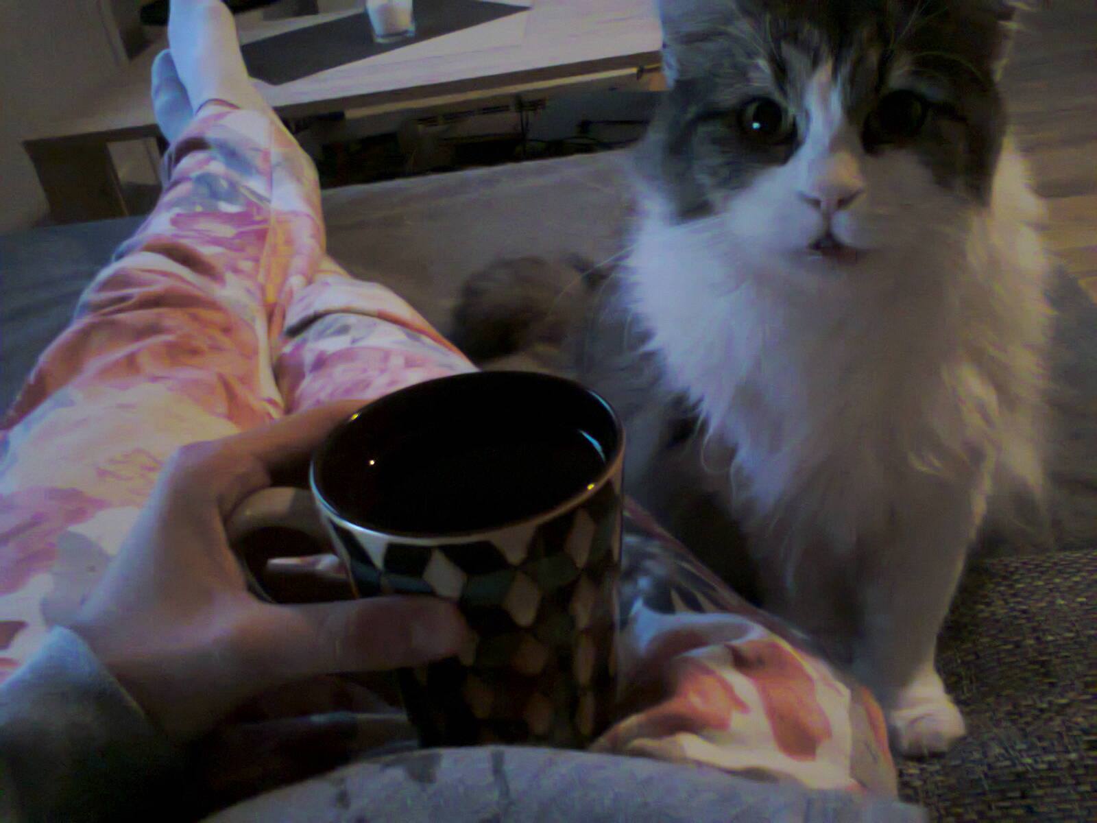 14884461_699329820231624_6333200054440804689_o